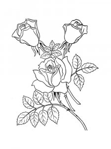 Rose coloring page 39 - Free printable