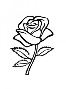 Rose coloring page 41 - Free printable