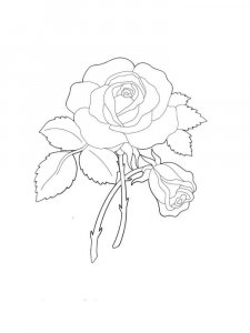Rose coloring page 42 - Free printable