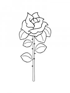 Rose coloring page 43 - Free printable