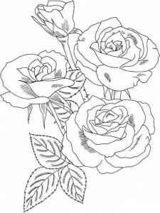 Rose coloring page 1 - Free printable
