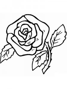Rose coloring page 11 - Free printable