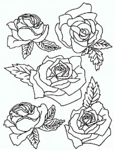 Rose coloring page 15 - Free printable