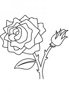 Rose coloring page 21 - Free printable