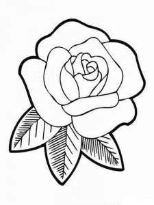 Rose coloring page 4 - Free printable