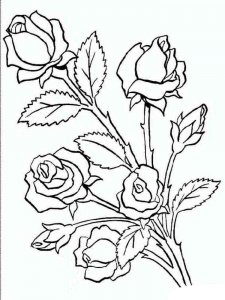 Rose coloring page 9 - Free printable