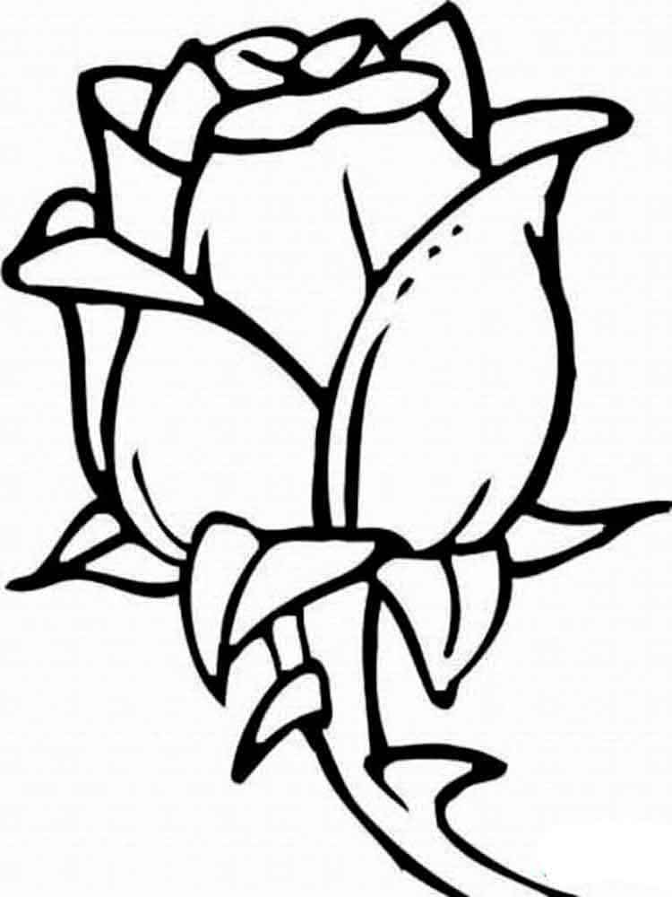710 Simple Printable Rose Coloring Pages with Printable
