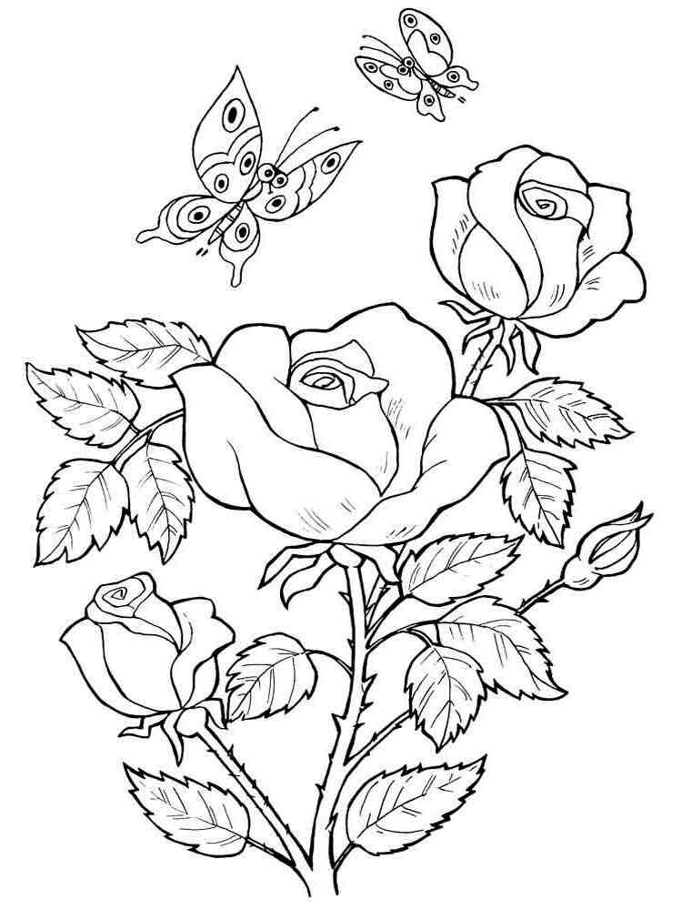 Rose Flower Pages Printable Coloring Pages