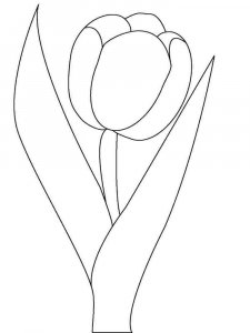 Tulip coloring page 13 - Free printable