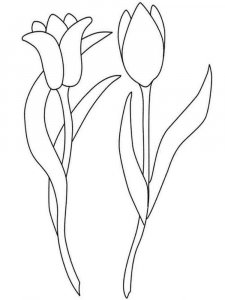 Tulip coloring page 5 - Free printable