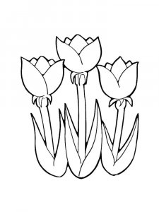 Tulip coloring page 33 - Free printable