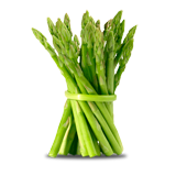 Asparagus coloring pages