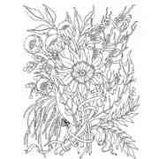 Floral coloring pages for Adults