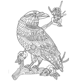 Crow coloring pages for Adults