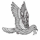 Dove coloring pages for Adults