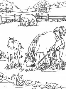 Farm coloring page 30 - Free printable