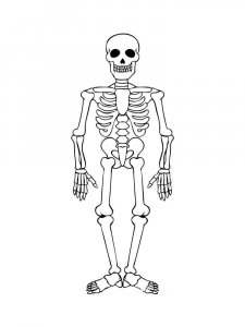 Skeleton coloring page 15 - Free printable