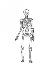 Skeleton coloring page 3 - Free printable