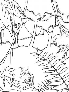 Jungle coloring page 8 - Free printable