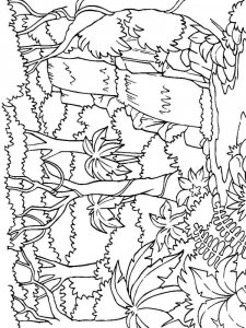 Jungle coloring page 9 - Free printable