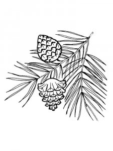 Pine Cone coloring page 1 - Free printable