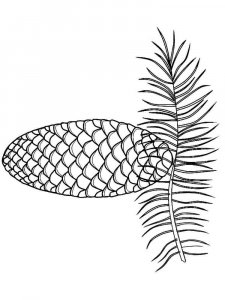 Pine Cone coloring page 10 - Free printable