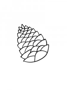 Pine Cone coloring page 15 - Free printable