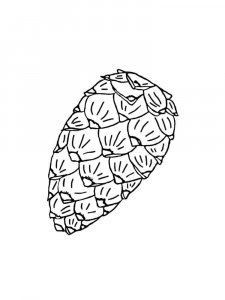 Pine Cone coloring page 21 - Free printable