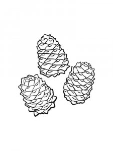 Pine Cone coloring page 22 - Free printable