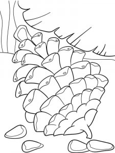 Pine Cone coloring page 7 - Free printable
