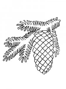 Pine Cone coloring page 8 - Free printable