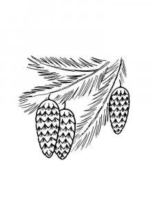 Pine Cone coloring page 9 - Free printable