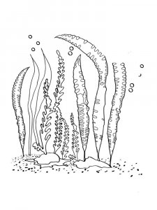 Seaweed coloring page 13 - Free printable