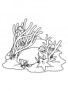 Seaweed coloring page 16 - Free printable