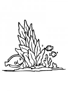 Seaweed coloring page 18 - Free printable