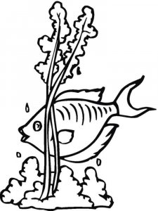 Seaweed coloring page 4 - Free printable