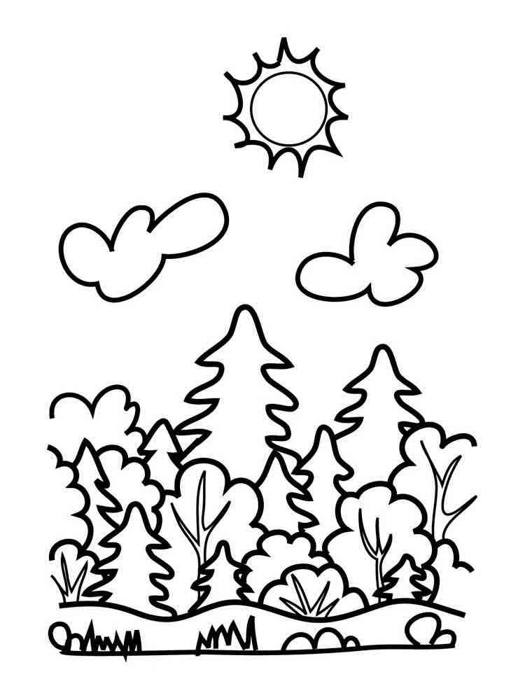 Forest coloring pages. Download and print forest coloring pages