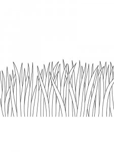 Grass coloring page 16 - Free printable