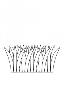 Grass coloring page 17 - Free printable