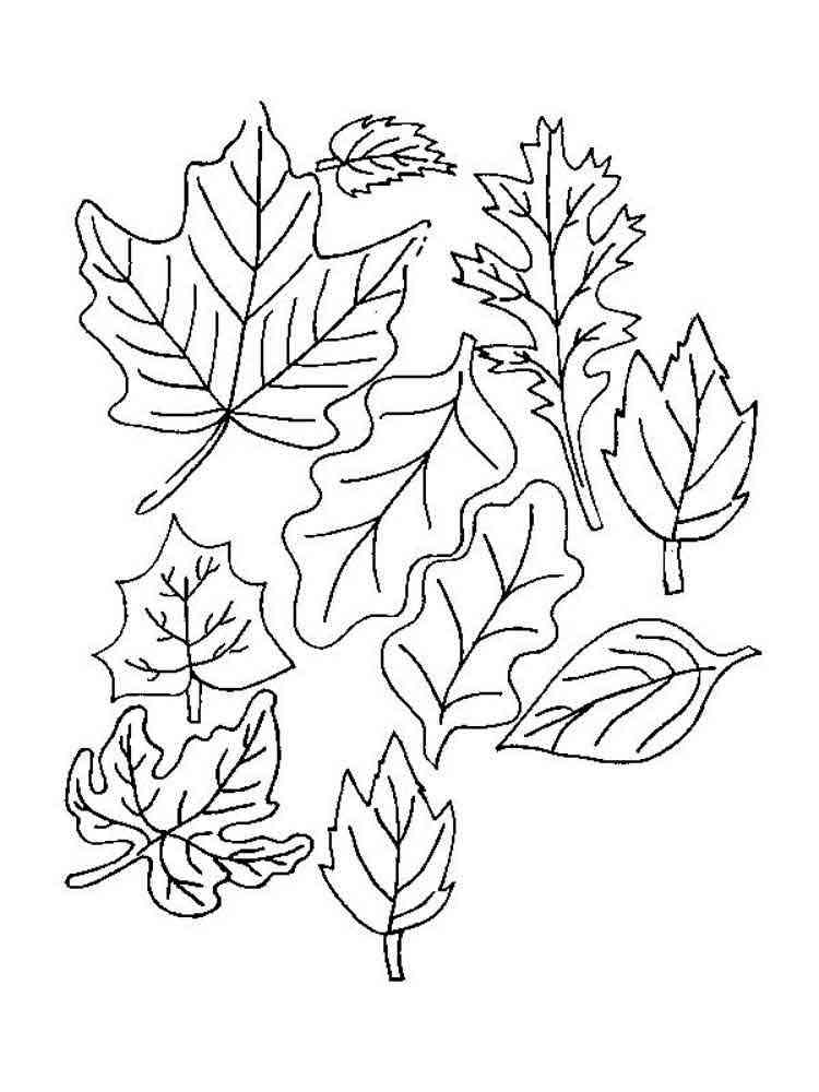 Leaves coloring pages. Download and print leaves coloring ...