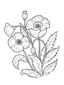Plants coloring page 17 - Free printable