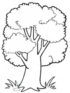 Plants coloring page 18 - Free printable