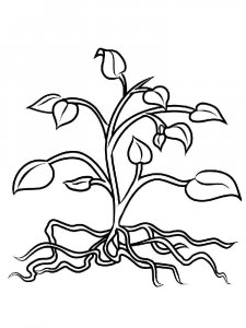 Plants coloring page 19 - Free printable