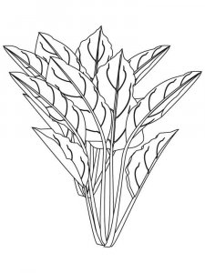 Plants coloring page 20 - Free printable