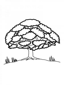 Tree coloring page 15 - Free printable