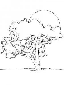 Tree coloring page 17 - Free printable