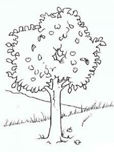 Tree coloring page 25 - Free printable