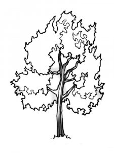 Tree coloring page 5 - Free printable
