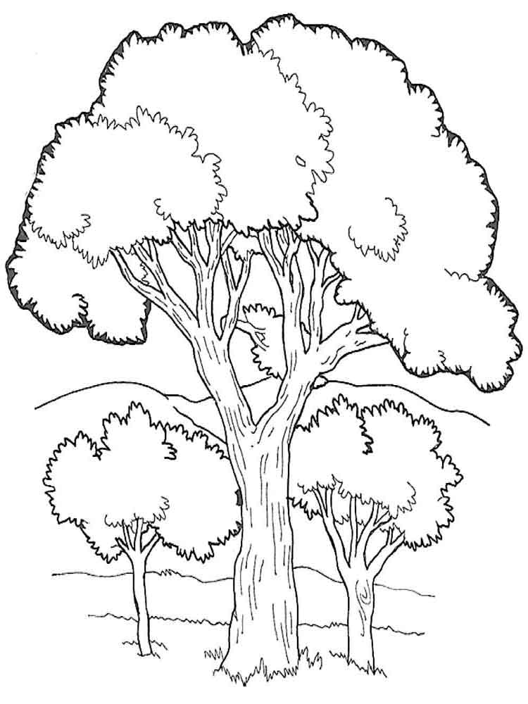 Trees coloring pages Download and print trees coloring pages