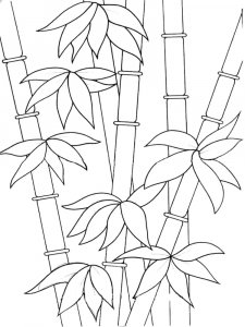 Bamboo coloring page 18 - Free printable